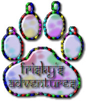 kitty adventures